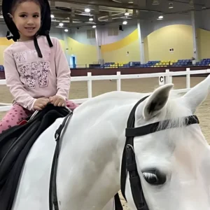 Equestrian Pony Riding Experience