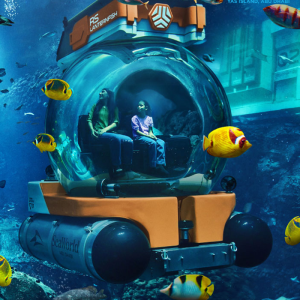 SeaWorld Yas Island Abu Dhabi